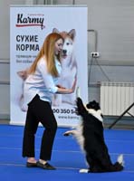 VRS_7680-ps